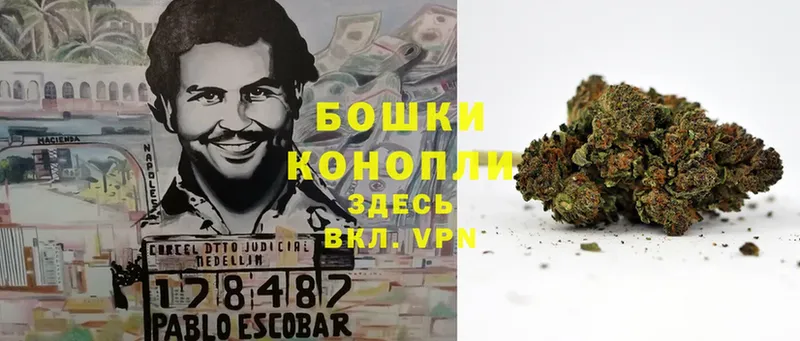 Шишки марихуана Ganja  купить  цена  Киселёвск 